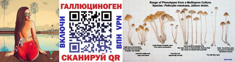 Псилоцибиновые грибы GOLDEN TEACHER  Купить закладки  Тихорецк 